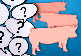 More Uncertainty for Pork Industry in a Very Uncertain Market