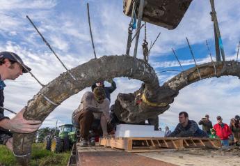 Farmers Make Sensational Woolly Mammoth Discovery Beneath Soybean Field