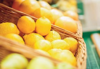 Apeel-coated Limoneira lemons will hit shelves soon