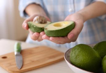 Shoppers share avocado buying habits in Fresh Trends survey