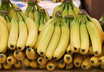 First Latin American banana imports achieve GlobalGAP certification