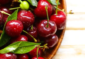 Star Produce to offer Canadian cherries beginning in late June
