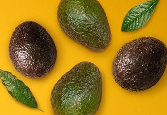 Avocado sales rose during 2022 fall and winter holidays, finds HAB