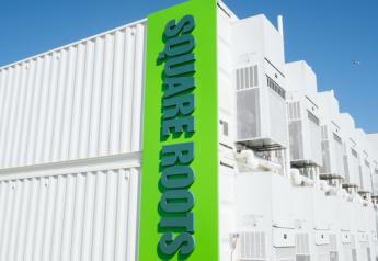 Square Roots opening its fourth farm