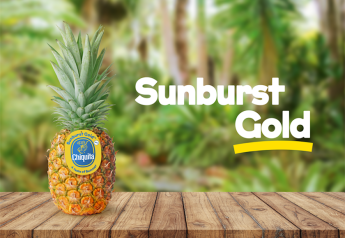 Chiquita’s new Sunburst Gold Pineapple released