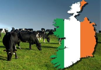 Ireland Proposes Culling 200,000 Cows to Help Meet Climate Goals, Farmers Push Back