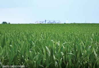 Corn-for-Ethanol Use Slightly Below Expectations