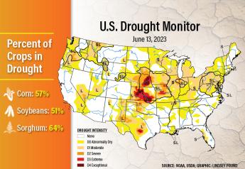 Drought Concerns Grow as 57% of Corn, 51% of Soybeans in the U.S. Now Considered to Be in Drought