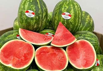 Mexican melon markets to stabilize for peak summer promotions, forecasts grower