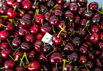 River Valley Fruit adopts Hazel 100 for cherry business