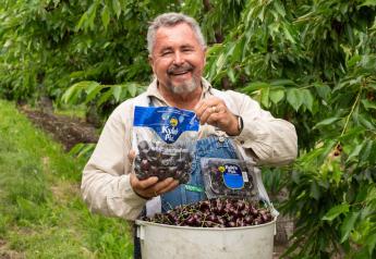 Stemilt Growers' newly branded Kyle’s Pick cherries now available