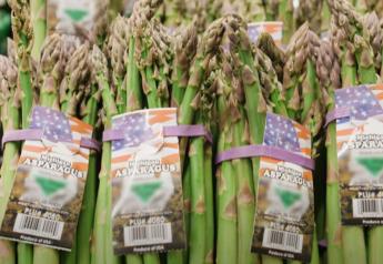 Summer video series puts spotlight on Michigan asparagus