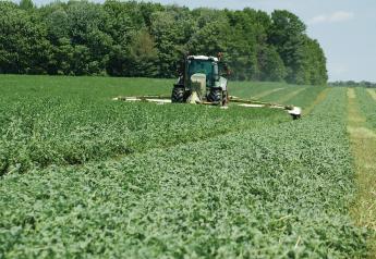 Management, Planning Key to Forage Quality and Production