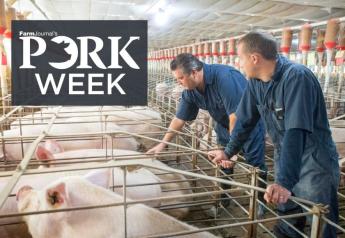 Pork Producers Face a Bleak Profitability Picture