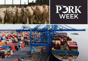 Pork Exports Continue to Soar in April, Shipments to Mexico Smash Records for 2023