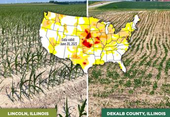 Drought Reality Check: Areas of Corn Belt On Pace for Driest June Ever