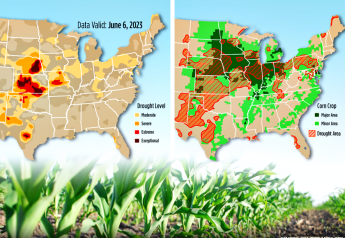 Drought Watch: Nearly Half of the U.S. Corn Crop is Now Covered in Drought