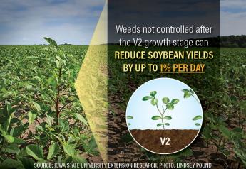7 Steps to Better Post-Herbicide Weed Control In Soybeans