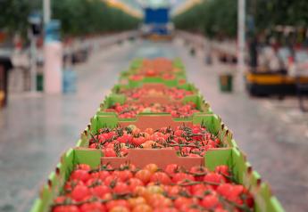 AppHarvest faces foreclosure of its Richmond tomato farm