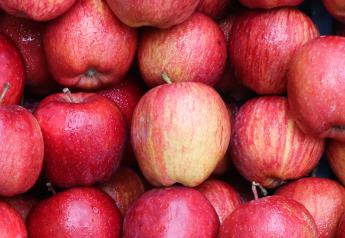 Report: EU apple, pear output dips