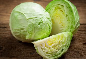 Fresh Trends 2023: Cabbage still going strong