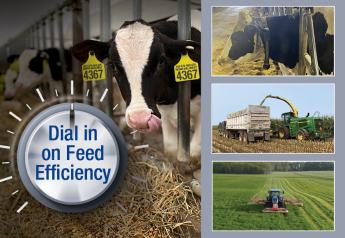 Dial in on Feed Efficiency