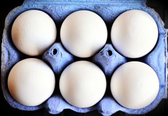 Egg Prices See Largest Monthly Drop in 72 Years, But Still Aren't Back to Normal