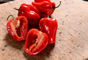 Fresh Trends 2023: Specialty pepper consumption steady