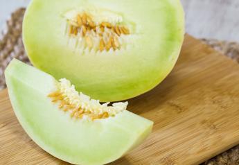 Fresh Trends 2023: What surveyed consumers said about melon consumption