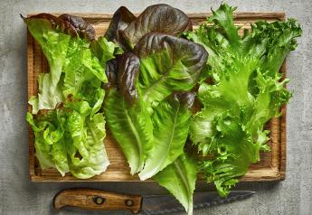 Fresh Trends 2023: A look at bulk lettuce buyers