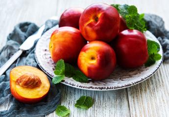 Fresh Trends 2023: Percentage of nectarine shoppers dips in survey
