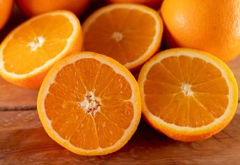 South Korea orange imports to rise, USDA reports says