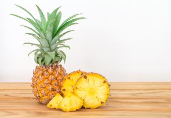 Fresh Trends 2023: Pineapple purchases up in most recent survey