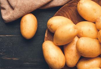 U.S. potato exports hit records for value and volume