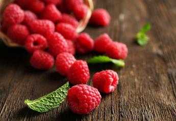 Fresh Trends 2023: 1 in 4 consumers report buying raspberries last year