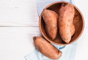 Sweetpotato consumption keeps rising