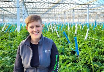 Grown in glass: How Abby Lange cultivates tomatoes in the Chihuahuan Desert  