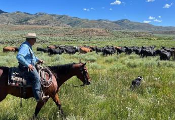 Idaho Farm Bureau Cautions Ranchers Against Signing ‘Voluntary Agreements’