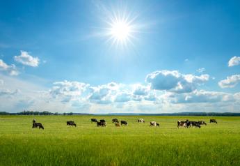 A Summer of Uncertainty in Dairy Markets