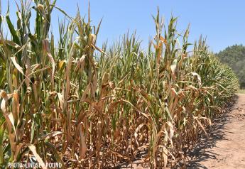 AFBF: Major Disasters and Severe Weather Caused Over $21 Billion in Crop Losses in 2023