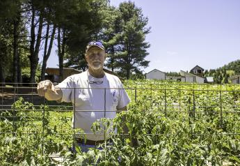Happy Dirt puts organic heirloom tomatoes 'on the map'