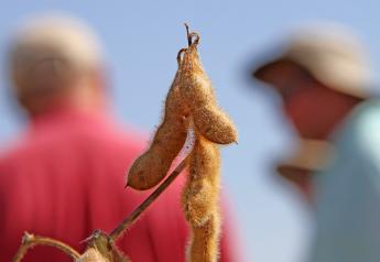 Triple-Crop Soybean Success as Illinois Farmer Bucks Consensus