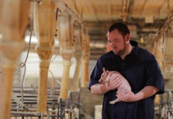 Prop 12 Exacerbates Tough Economic Time For Pig Farmers