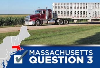 Massachusetts’s Radical Pork Ban 'Hogties' Iowa Pig Farmers, Says Attorney General Bird