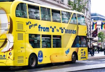 Chiquita yellow buses are back to brighten London streets
