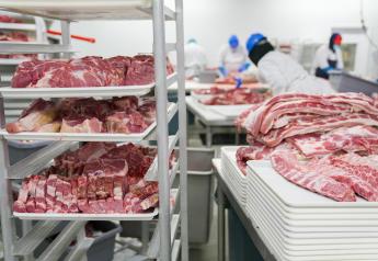 Post-Pandemic Meat Processing Plants: Survival of the Fittest