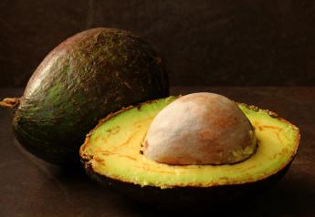 Anticipating an avocado oversupply, researcher offers ideas to close the gap