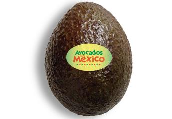 Avocados From Mexico helps retailers customize promotions for smaller fruit in late summer