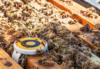 BeeHero’s precision pollination platform provides growers real-time data