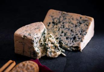“Cave-Aged” Blue Cheese Breaks World Record for Most Expensive Cheese